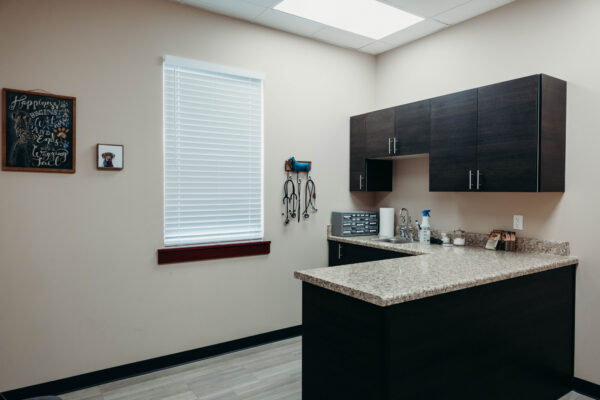 Modern veterinary exam room with dark cabinets, granite counters, and pet-themed wall decor.