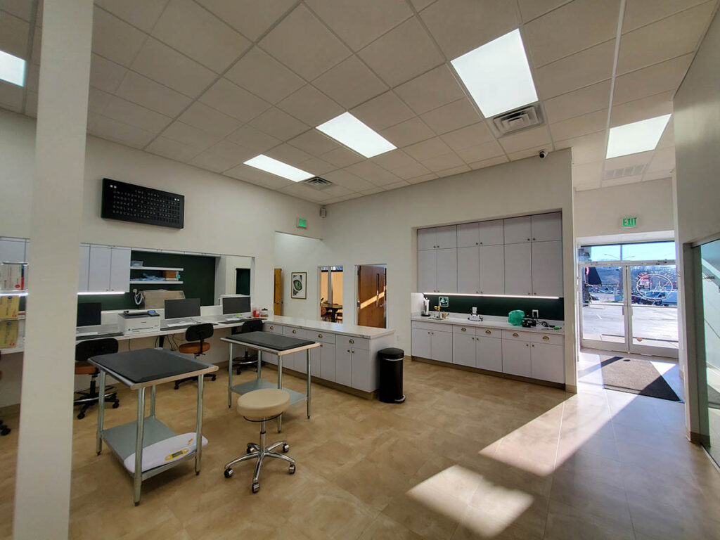 vet clinic surgery area design