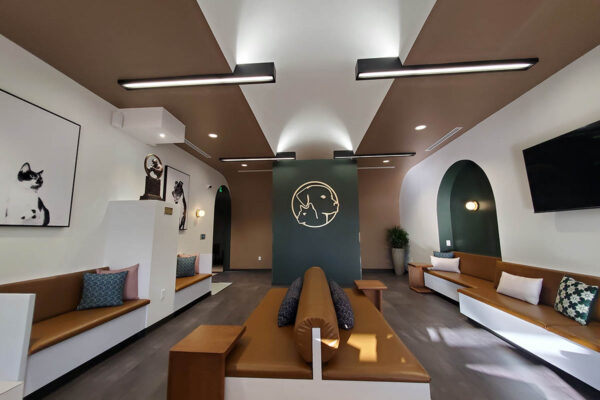 hunter green brown cream colors vet clinic Nashville