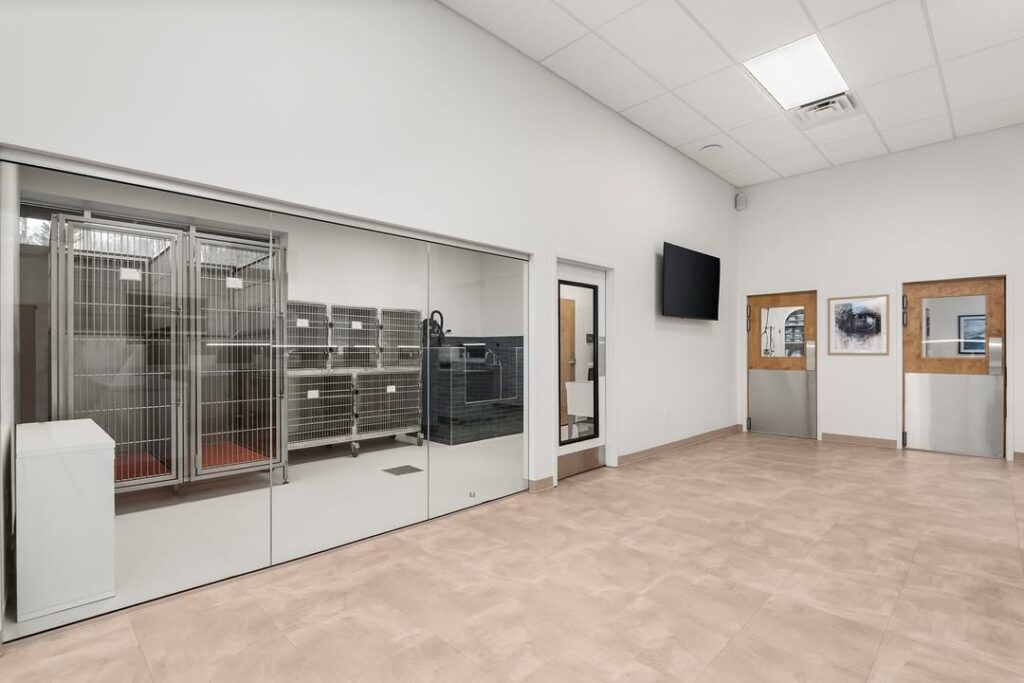 Clean, modern veterinary kennel area with glass-fronted enclosures and a bright, spacious hallway.