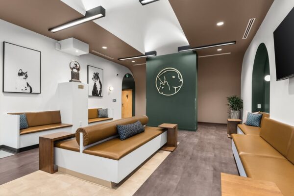 Modern vet clinic waiting lounge with bench seating, green feature wall, and arched architecture.