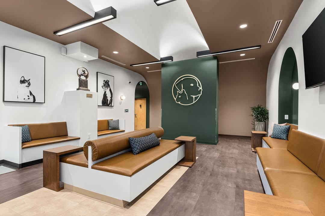 Modern vet clinic waiting lounge with bench seating, green feature wall, and arched architecture.