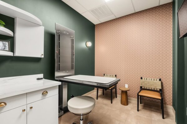 Modern veterinary exam room with patterned wallpaper, fold-down metal table, and stylish seating.