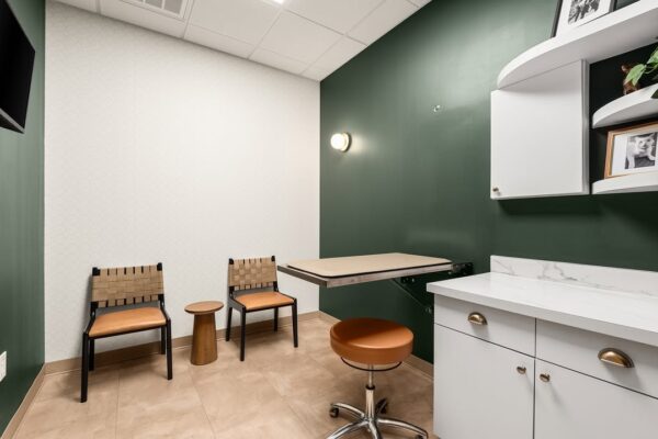 Modern veterinary exam room with two chairs, a wall-mounted fold-down table, stool, and cabinetry.