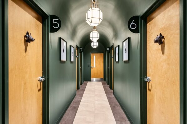 Veterinary clinic hallway featuring dark green walls, arched ceilings, numbered doors, and geometric lights.