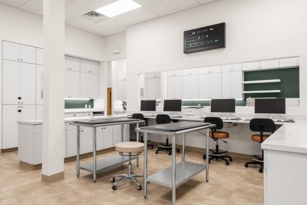 Clean, modern veterinary laboratory and workstation area featuring white cabinetry, computer stations, and metal prep tables.