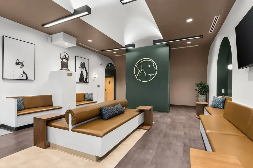 The Eye Vets Veterinary Nashville Clinic Construction